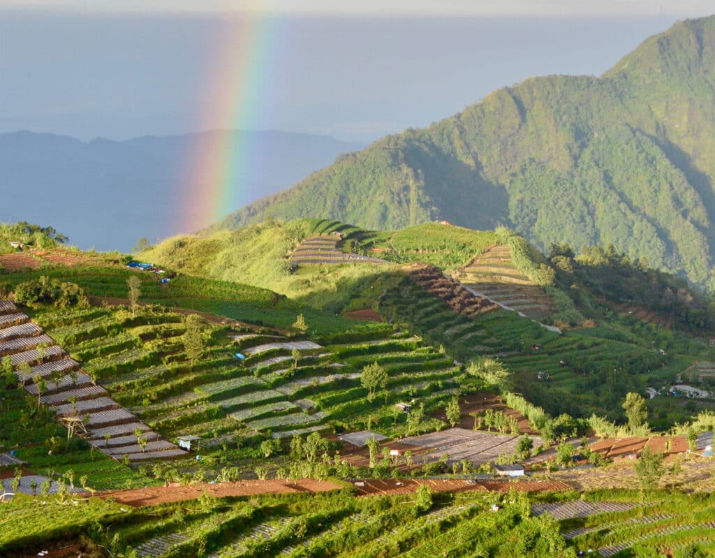 green mountain range with rainbow shining down on left side onto terraced hillside