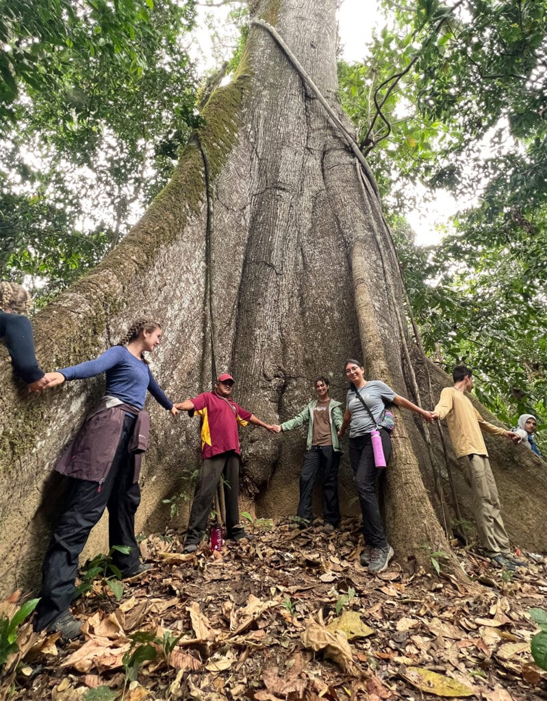 group holding hands around huge tree