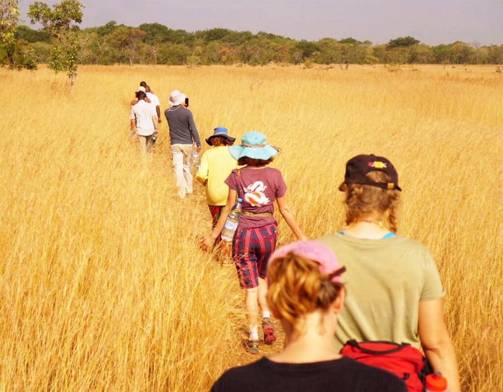 people walking in tall yellow grass in Senegal