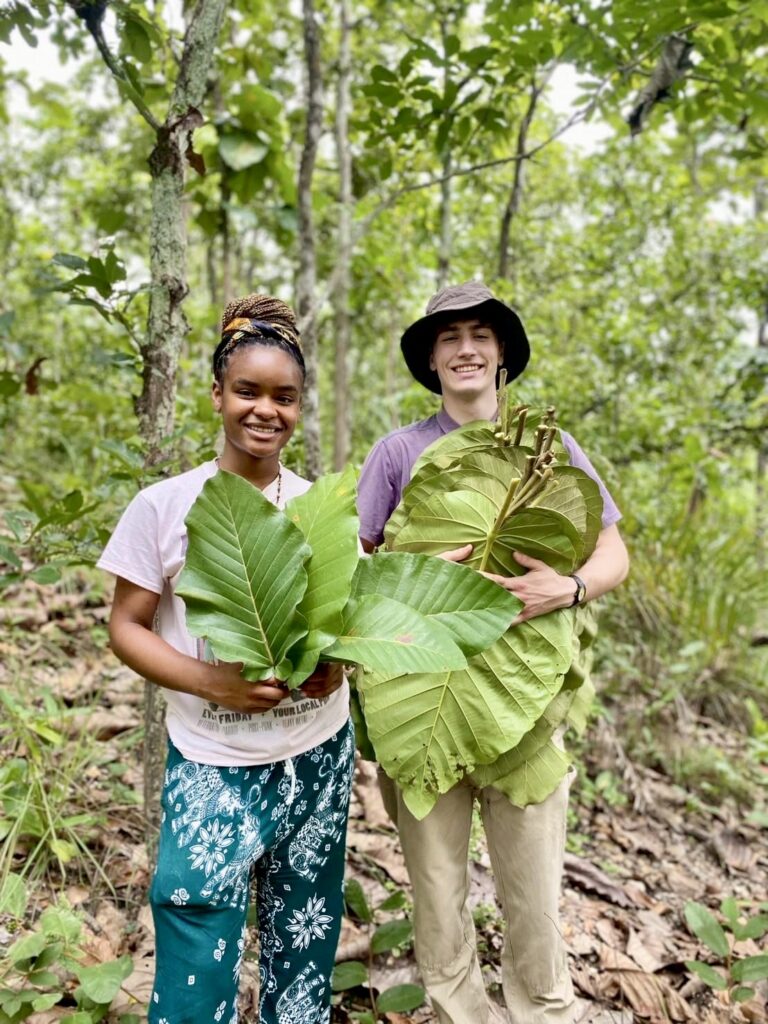 two young adults holding large green leafs, smiling