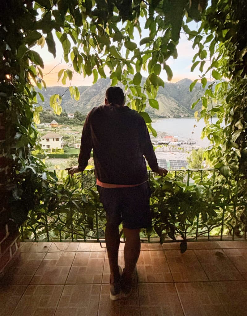 silhouette of man looking out over city