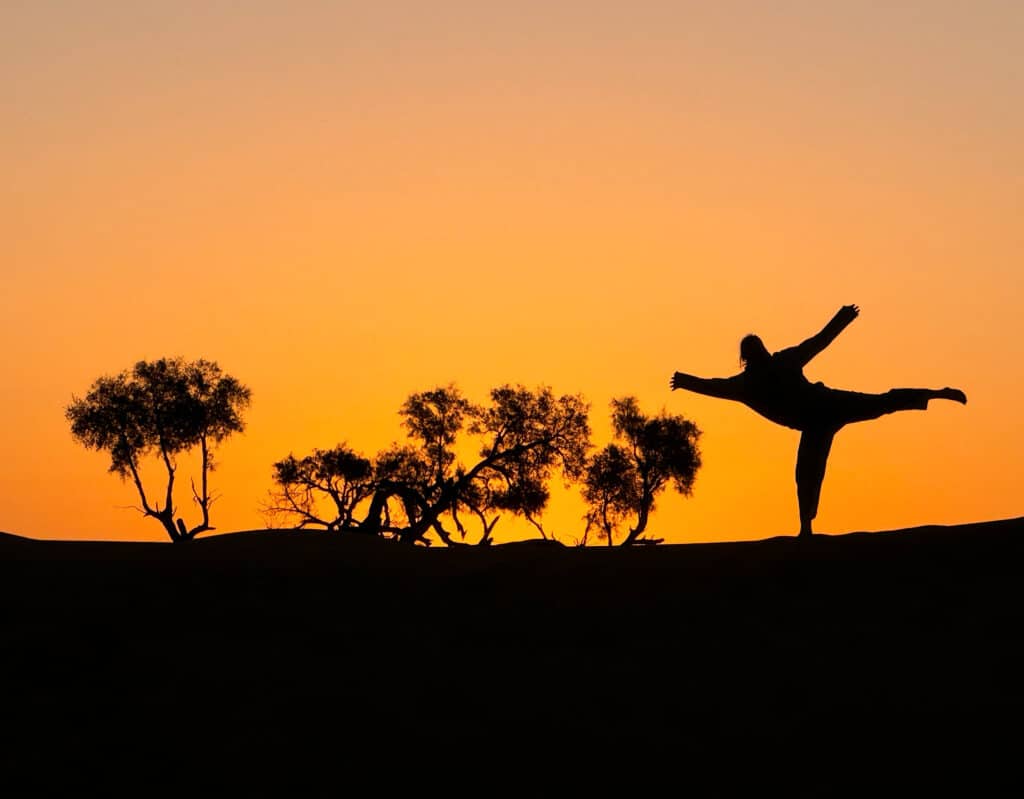 Silhouette by tree with dramatic orange sky