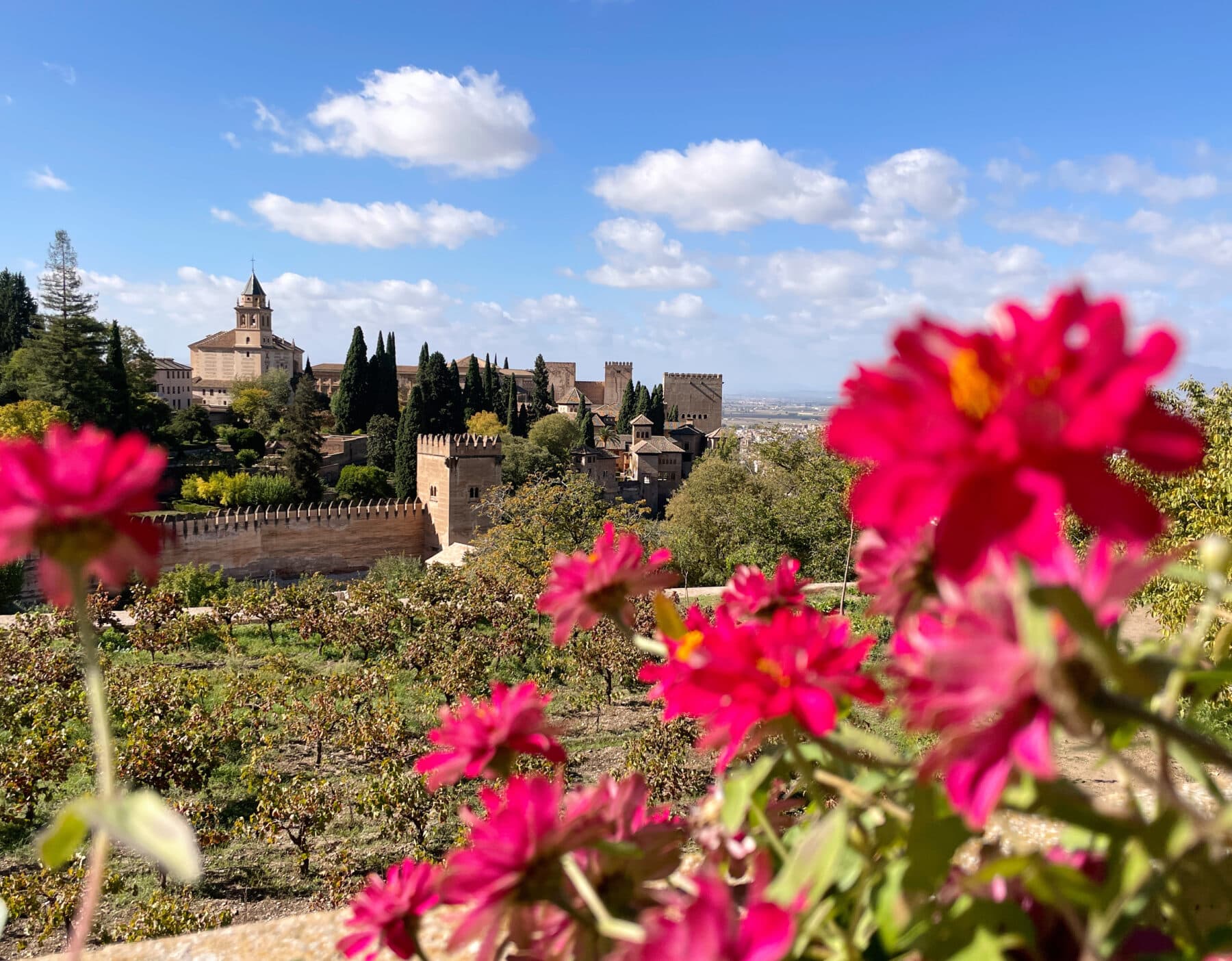 Castle in background with blurred red flowers in foreground